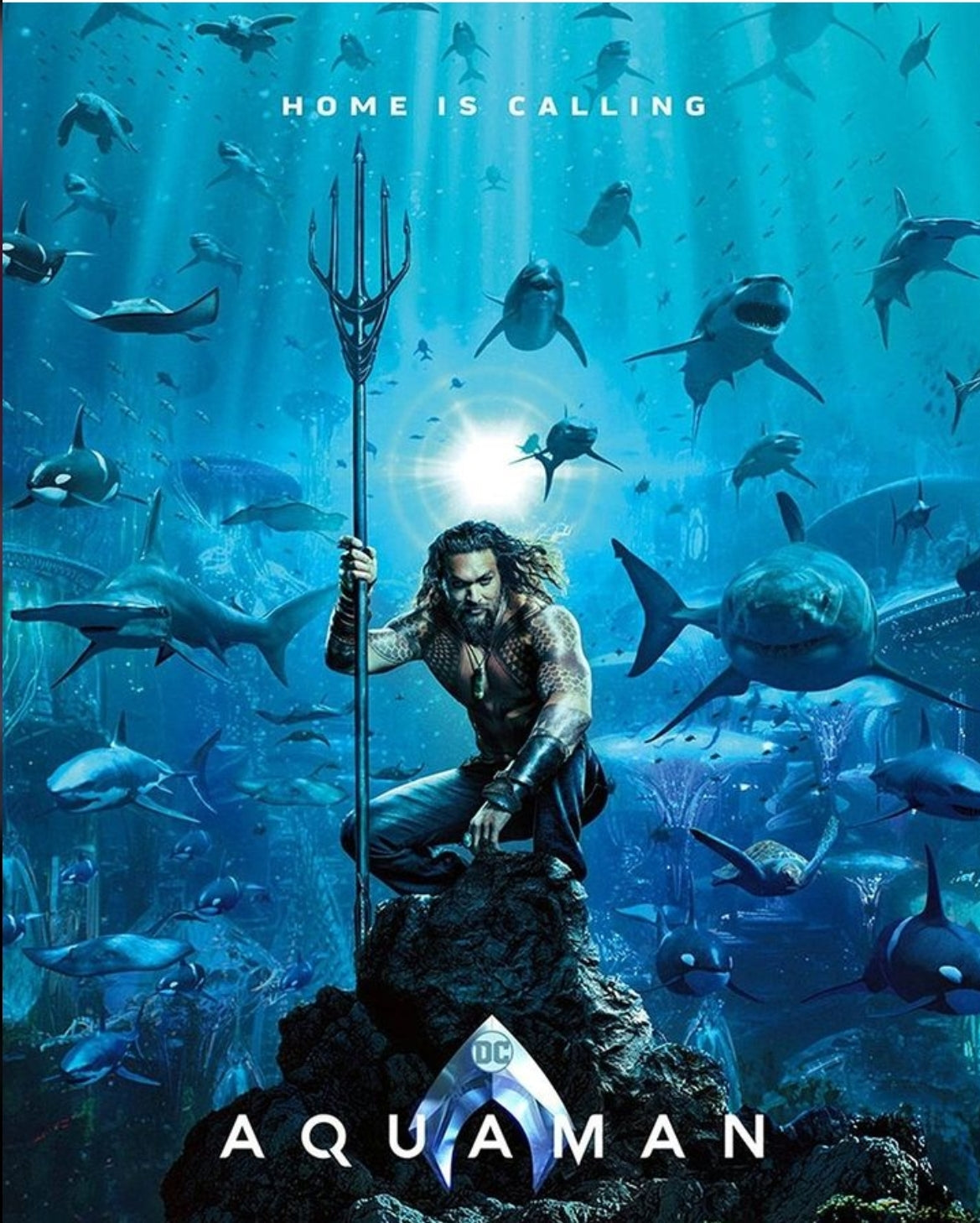 FOKKER JACKET (AQUAMAN)